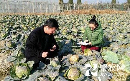 浙江杭州萧山：节前蔬菜安全检测不松懈