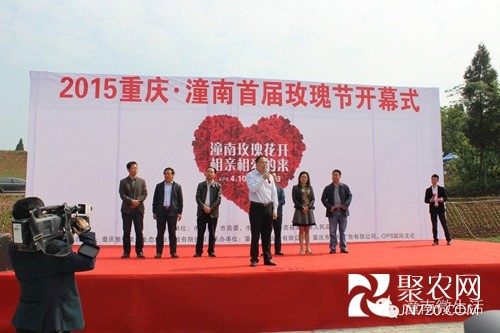 2015重庆潼南首届玫瑰花节于13日盛大开幕