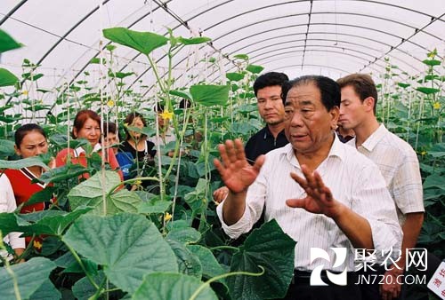 王乐义：让北方百姓冬天吃上新鲜菜