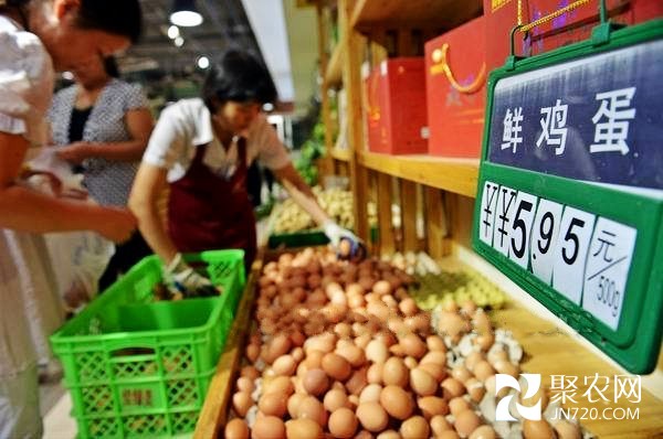 去年9月中旬以来全国鸡蛋价格降幅超25%