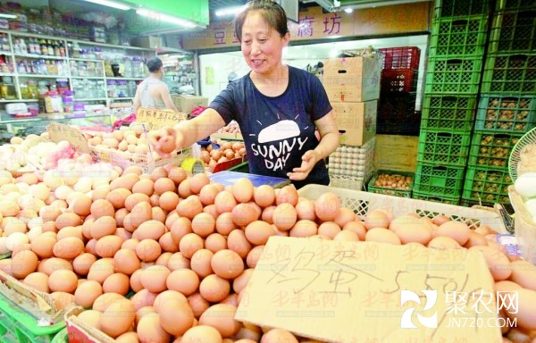 全国鸡蛋价格较去年同期低一成多