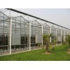 玻璃温室的优势  使用寿命长的玻璃温室 单层玻璃温室