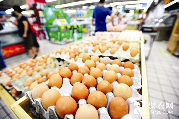 2月下旬以来全国鸡蛋价格降幅超17%