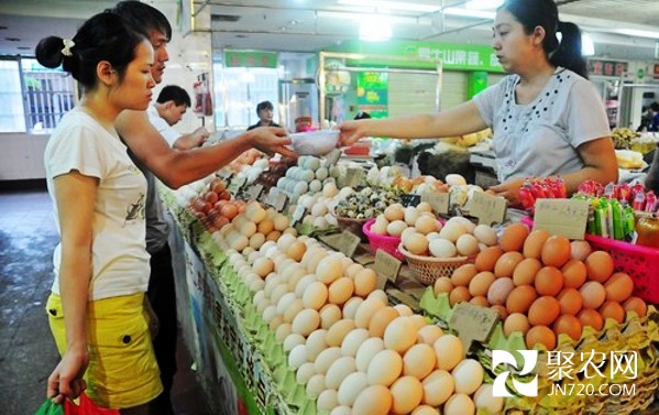 江苏盐城：鸡蛋价格为何“跌跌不休”？