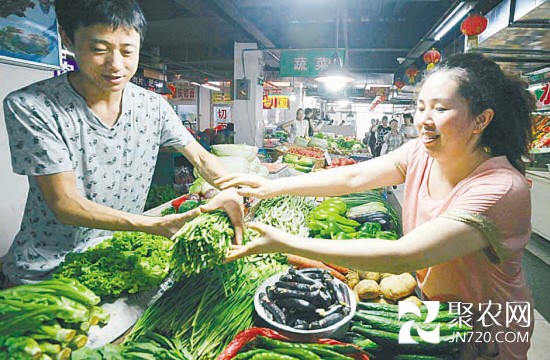 辽宁沈阳“地产菜”批量上市 菜价集体“退烧”