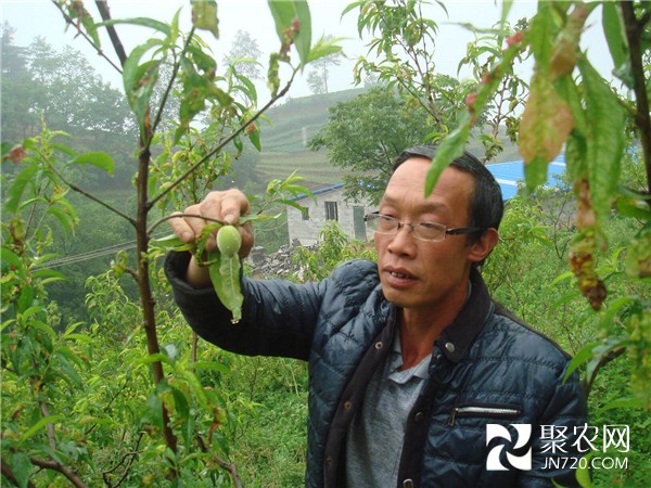 致富能手史开阳：敢教荒山变桃源