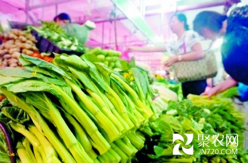 广东中山：持续暴雨致叶菜价格普涨