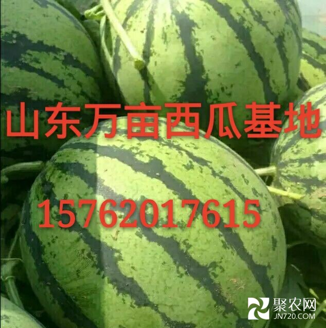 QQ图片20150426224710