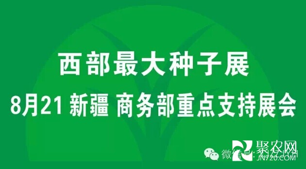 新疆种交会今年8月将在乌鲁木齐举办