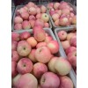 山东红富士苹果产地，红富士苹果价格批发