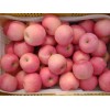 15020310061产地供应红富士苹果现在多少钱一斤