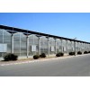太阳板温室大棚建设价格费用 太阳能温室大棚造价