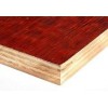 桂林板厂物超所值的松木面模板新品上市_建筑红板价格