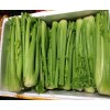中山蔬菜配送——优质蔬菜配送供应商倾情推荐