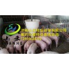 养猪设备价格|济南高品质养猪料线批售