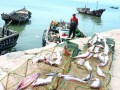 休渔期来临 山东青岛市民吃海鲜不“断档” 冰海鲜上市