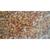 收购高粱大米玉米小麦等酿造原料.
