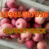 山东红富士苹果产区春节促销价格