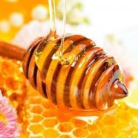求购蜂蜜,蜂王浆.蜂巢.蜂花粉