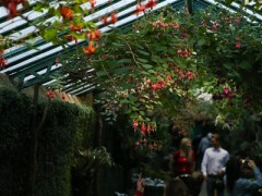 世界園林巡禮 比利時皇家溫室（圖）