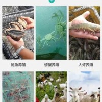山东展鹏网业集团有限公司与您相约2021广州渔博会