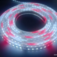 研发产销: LED植物生长灯带、独特的光配方全国首创效果很好