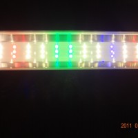 研发产销:LED家禽养殖灯,涵盖养殖鸡 鸭 鹅、鹌鹑、鸽子等
